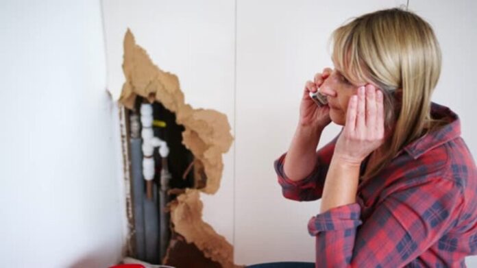 Top 7 Water Damage Causes and How to Repair Them
