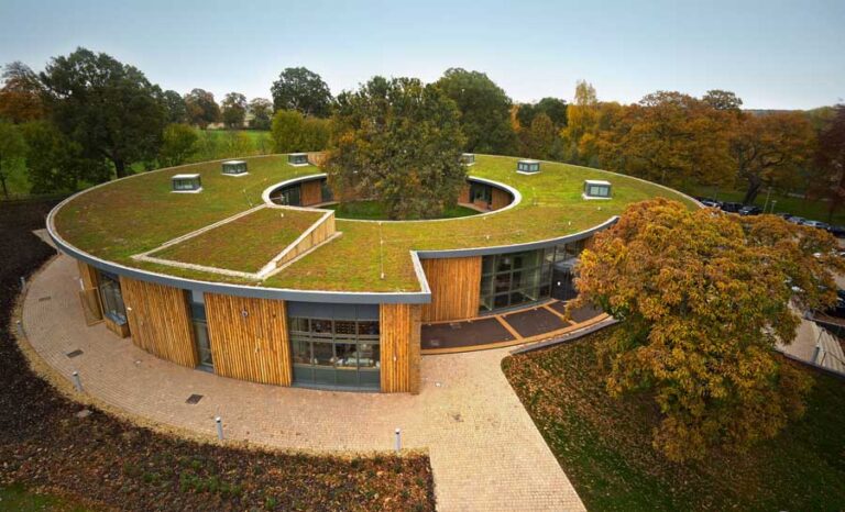 Green Roofs Equal Huge Savings