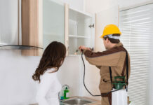 A Guide to Finding the Best Pest Control Services