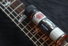 Effortless Enjoyment: Diving into Disposable Vapes and Nic Salts Nic Salts