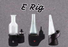 What is an E Rig? A Complete Guide to This Popular Fishing Setup E Rig