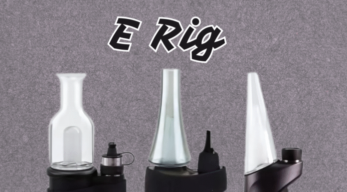 What is an E Rig? A Complete Guide to This Popular Fishing Setup E Rig