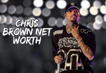 Chris Brown Net Worth 2024: A Complete Financial Overview chris brown net worth
