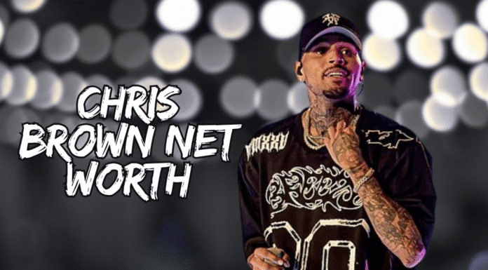 Chris Brown Net Worth 2024: A Complete Financial Overview chris brown net worth