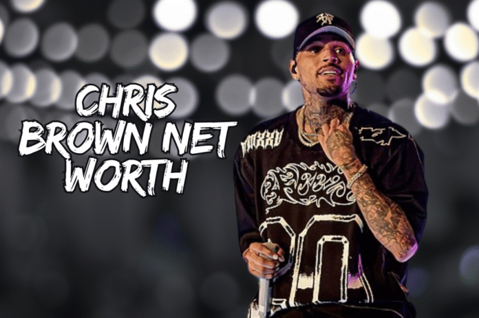 chris brown net worth