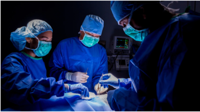 How Gut Microbiome Changes After Weight Loss Surgery Weight Loss Surgery