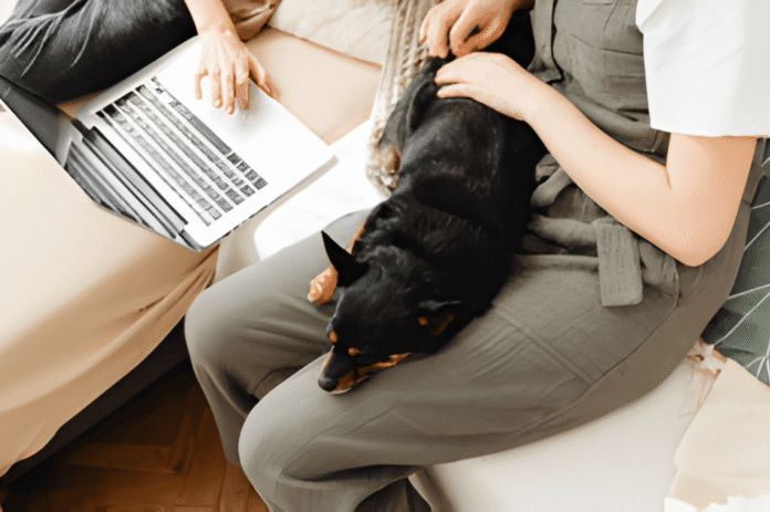 Online Puppy Training