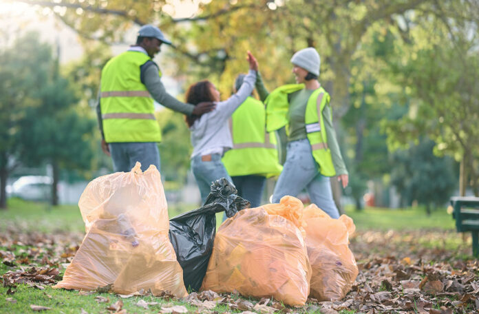 Professional Waste Pickup