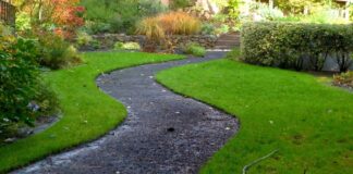 Why Yard Drainage Is Essential to Protect Your Landscape from Lasting Damage Yard Drainage