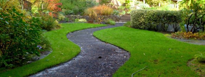 Yard Drainage