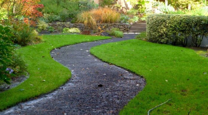 Why Yard Drainage Is Essential to Protect Your Landscape from Lasting Damage Yard Drainage