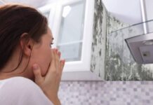 Signs of Hidden Mold Behind Wallpaper and How to Detect It Hidden Mold Behind Wallpaper