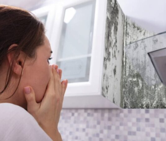 Signs of Hidden Mold Behind Wallpaper and How to Detect It Hidden Mold Behind Wallpaper